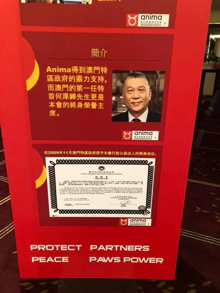 37864341 2149058352050333 7418185569970159616 n