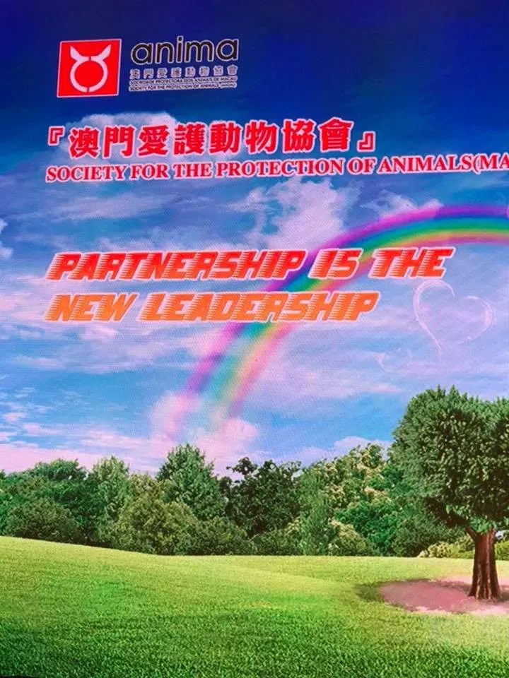 37888406 2149057928717042 976512423072628736 n