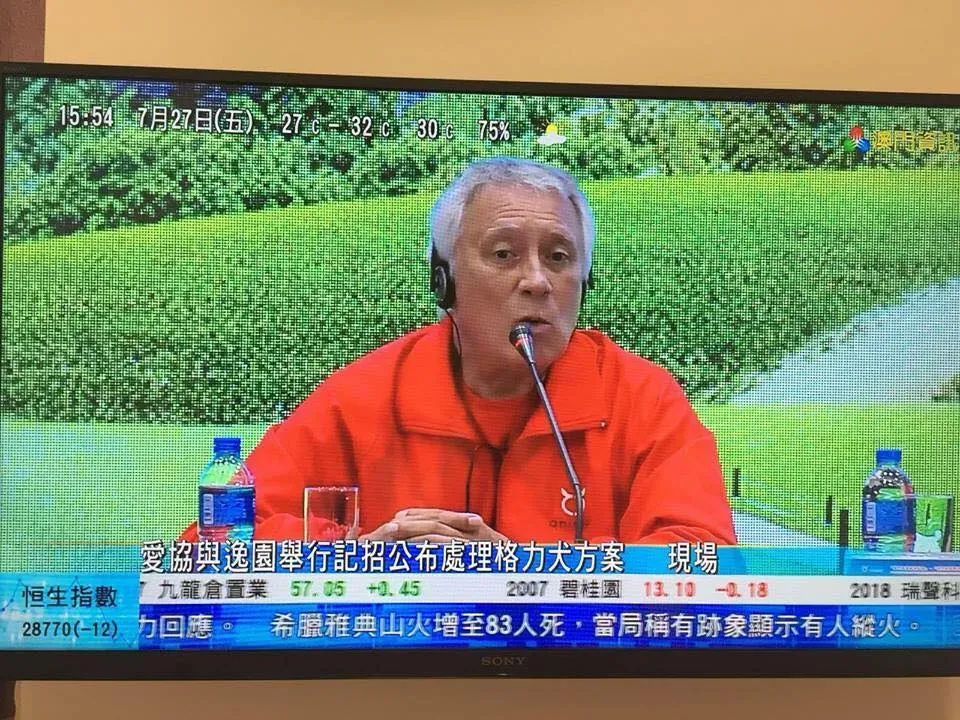 37904237 2149219802034188 5640367562408591360 n