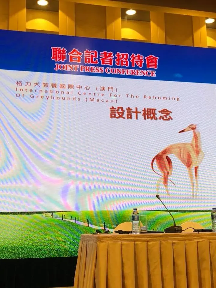 37907265 2149058542050314 5557335807238340608 n