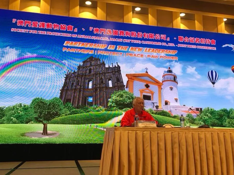 37962387 2149058092050359 7755105516455460864 n