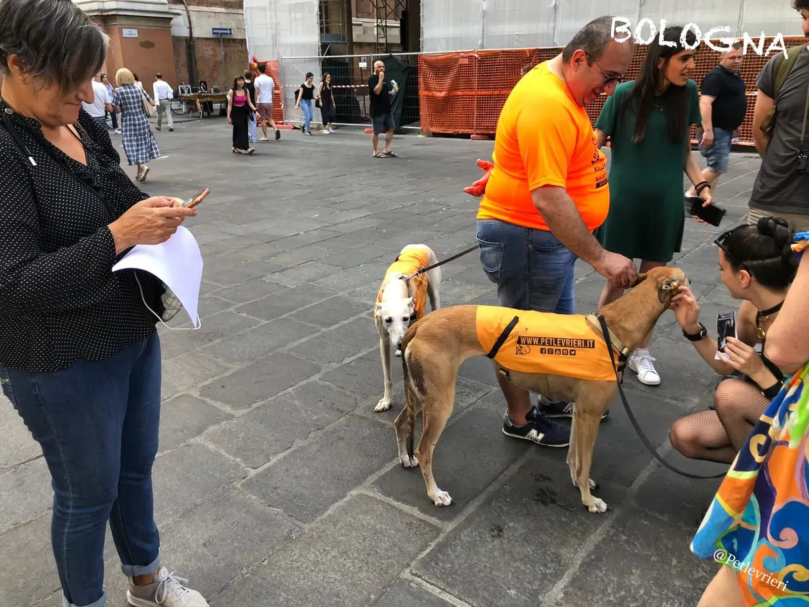 37eac7fb 2de1 4a67 b31f 268a80691205 risultato