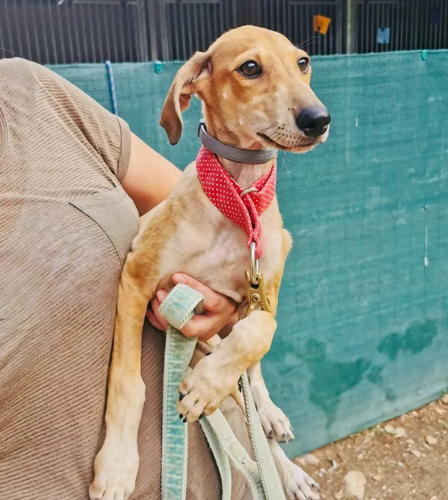 37f67c79 9736 403c 8cfb d40d70721abd