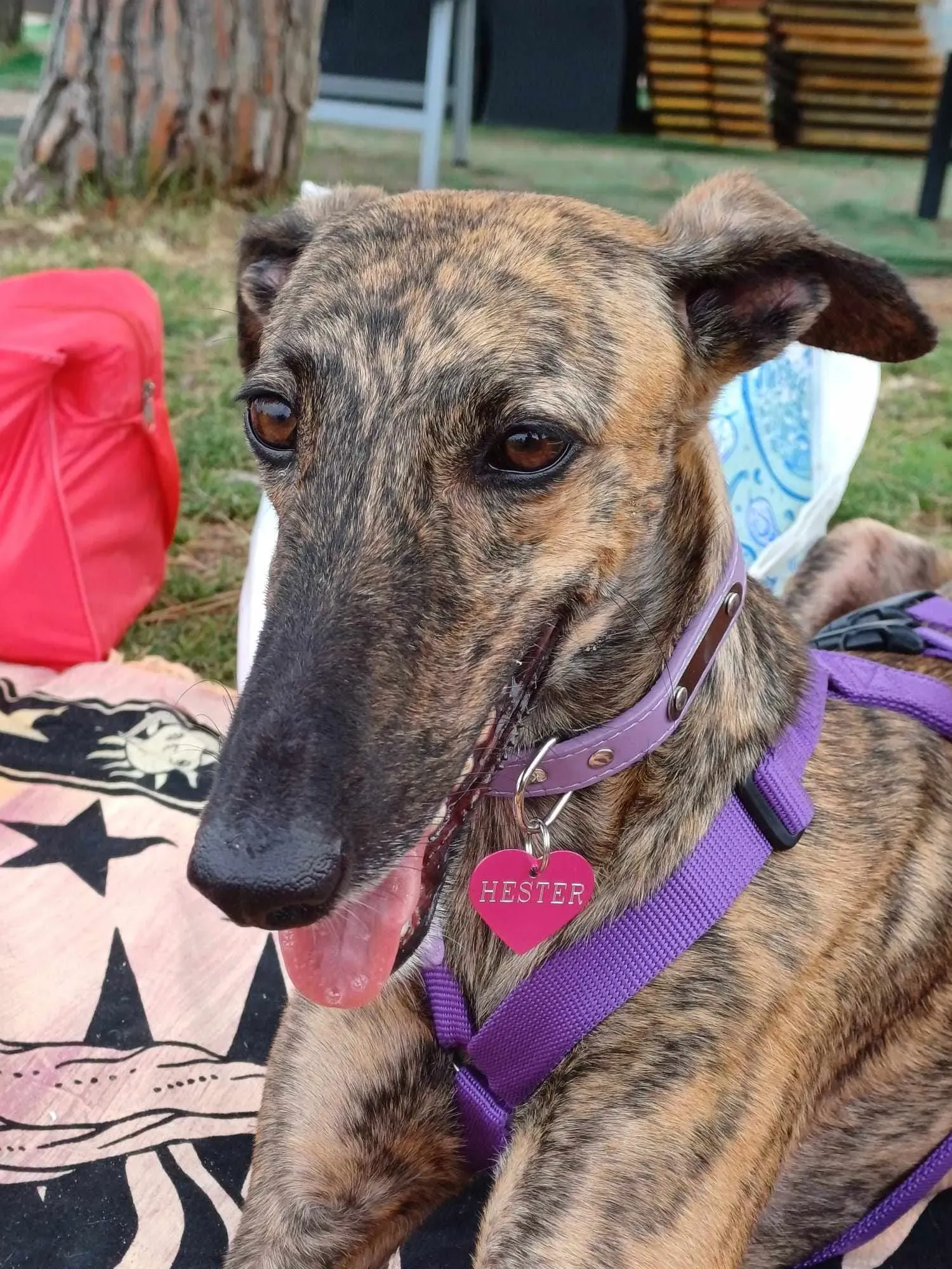 386881247 3733095946968071 4163122988885470242 n