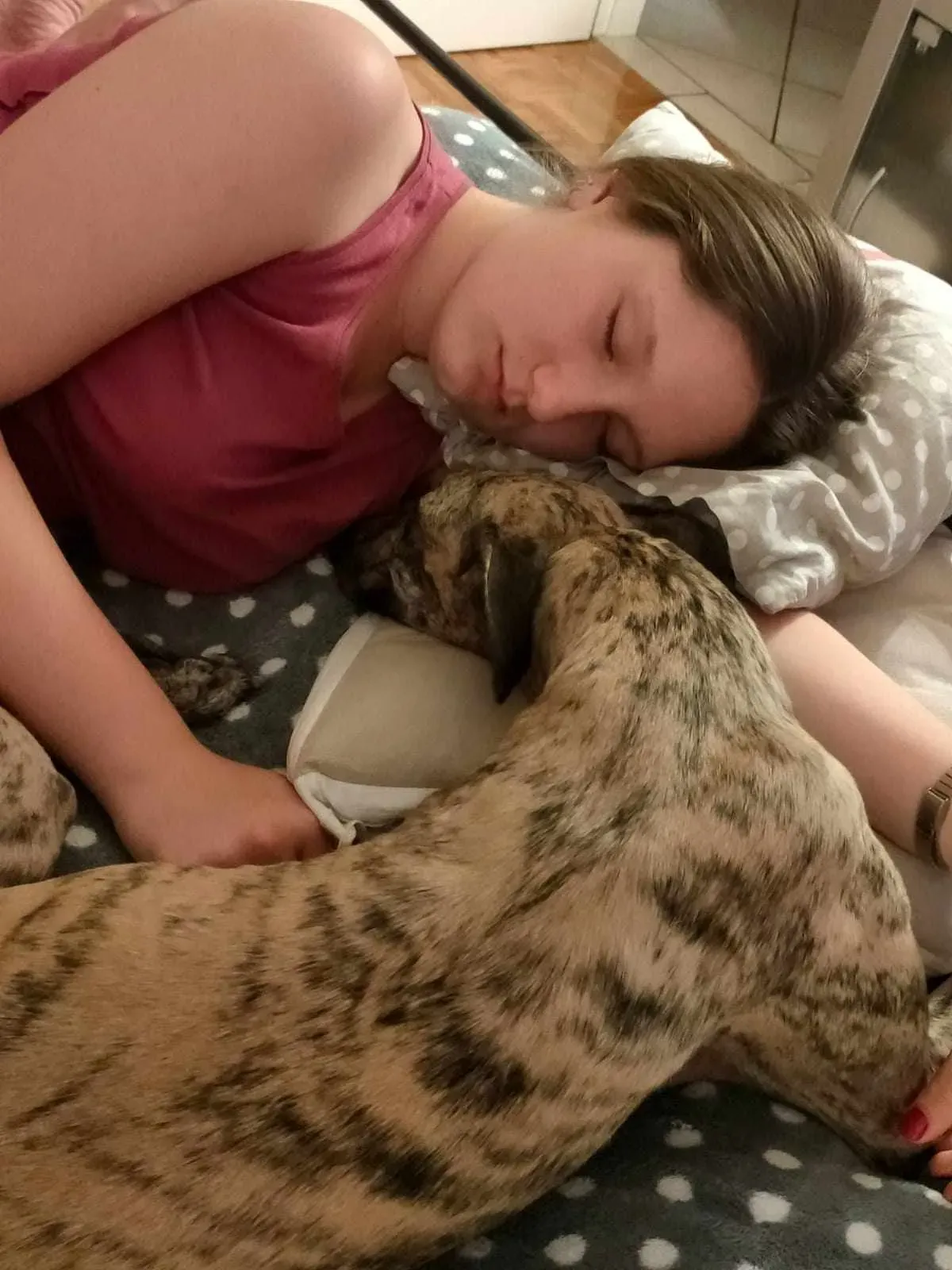 387482009 374738355076914 1487120337792503596 n