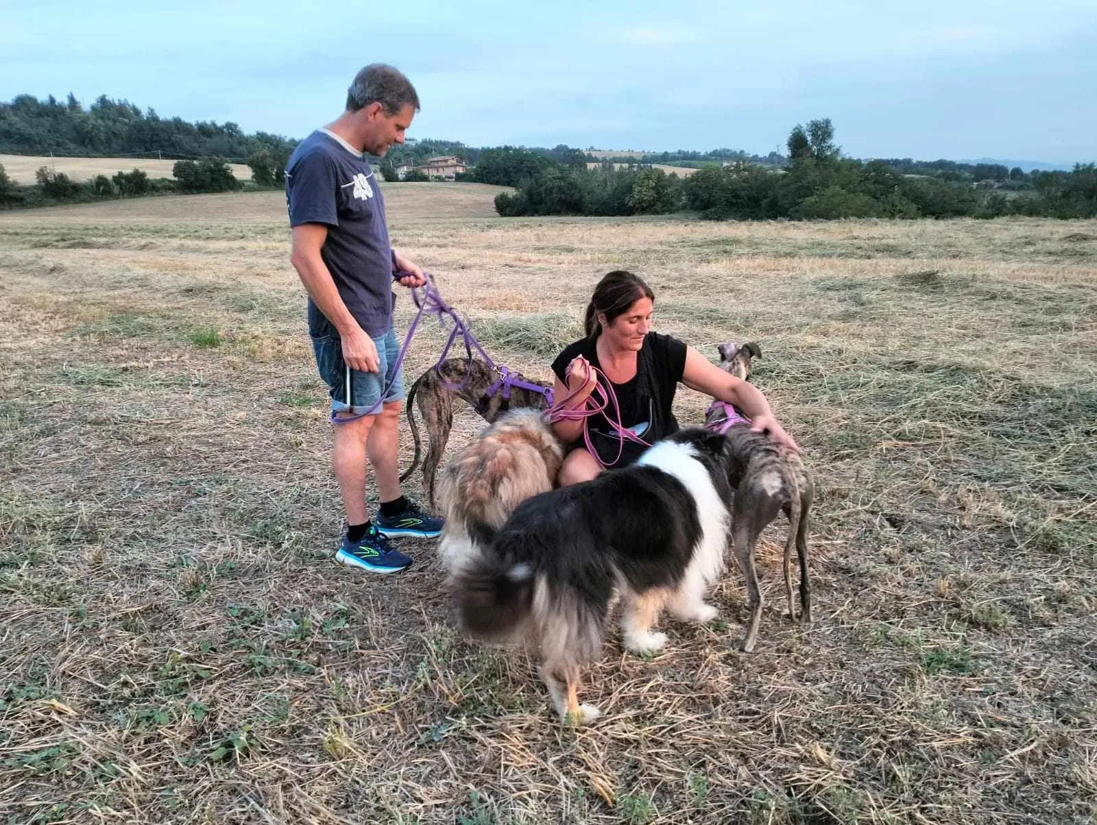 387482987 1597278871076439 3323321741494010117 n