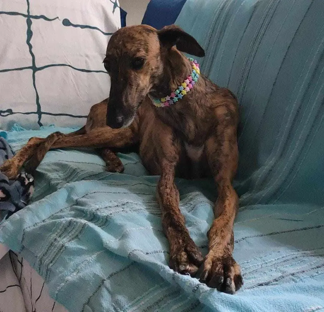 387494113 887431426089151 5374107716445908662 n