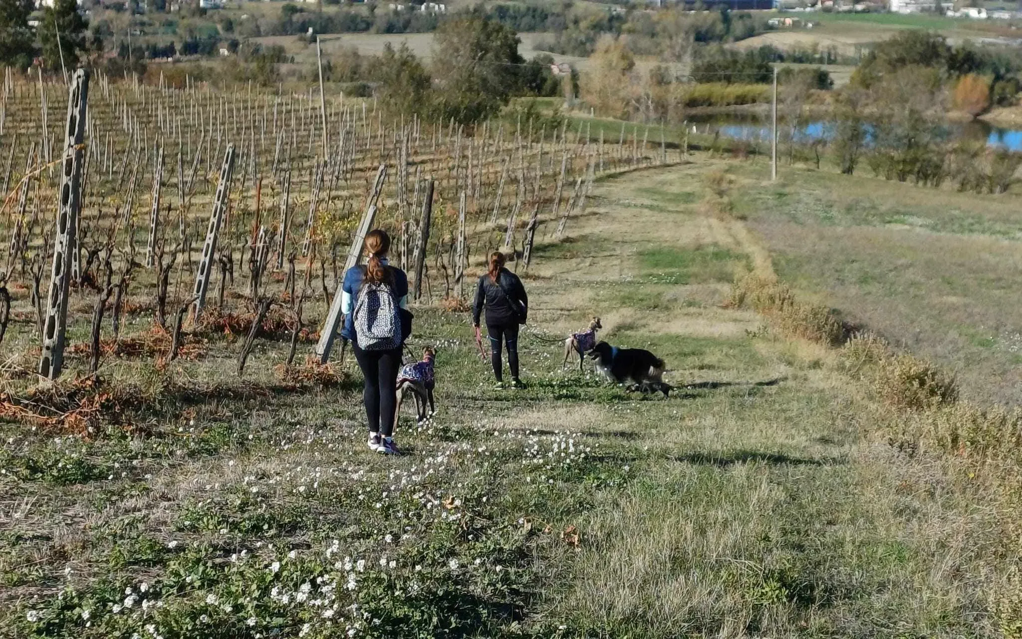 387495496 372875725409555 7244678217776430136 n