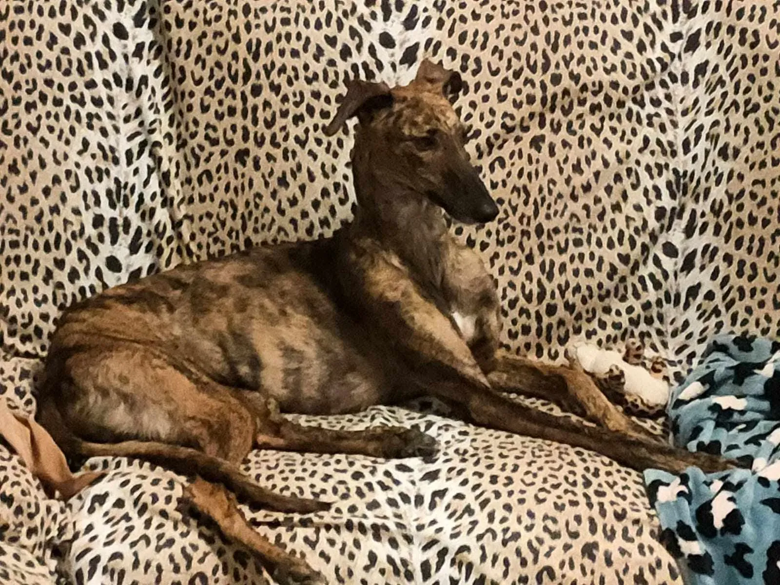 387496524 727576242588907 7529257056752741182 n