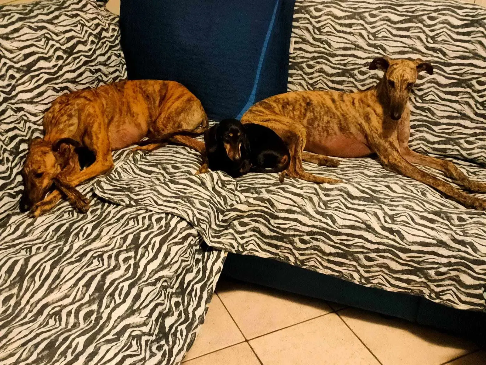 387501112 379192954579318 5743089417974419961 n