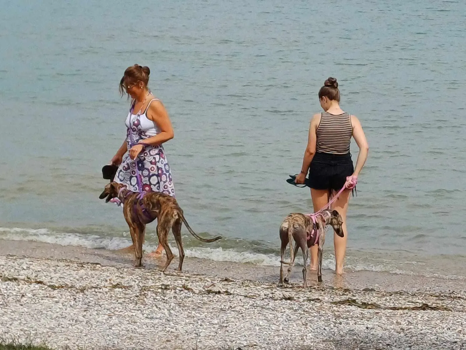 387505544 1076874970137616 5898456763790827477 n