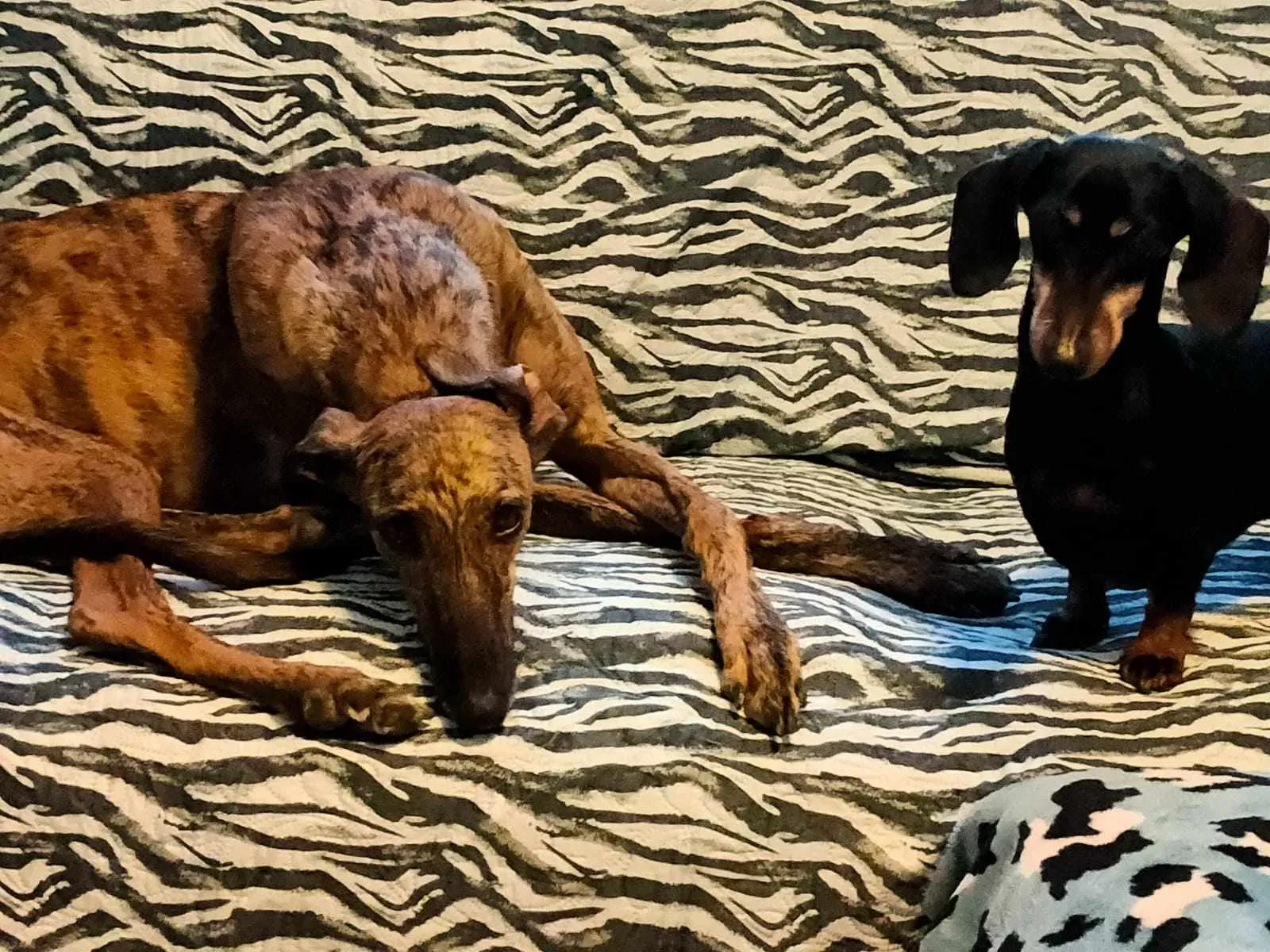 387506777 854089323128121 8353042705801896063 n 1