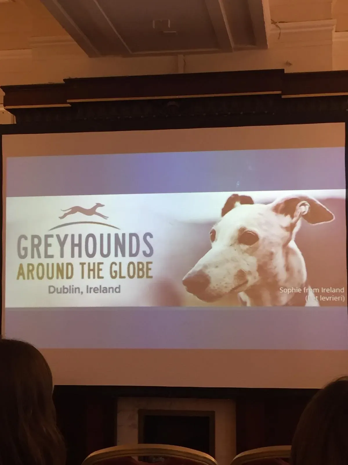 38981c9d 07a3 4ae8 947b 5242b4f93e10