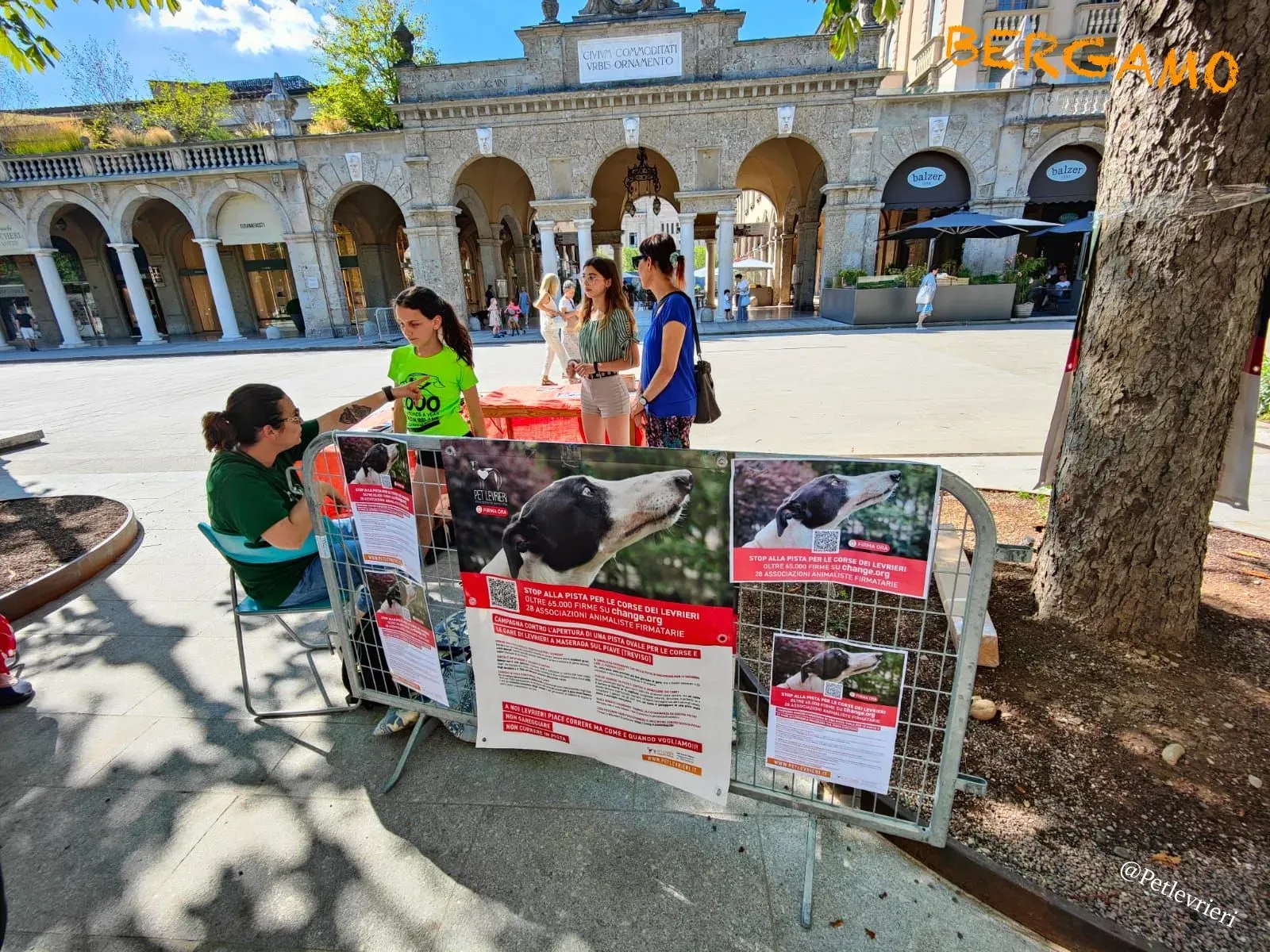 38d77e02 8ae5 4669 925a d2a4f20eb067 risultato