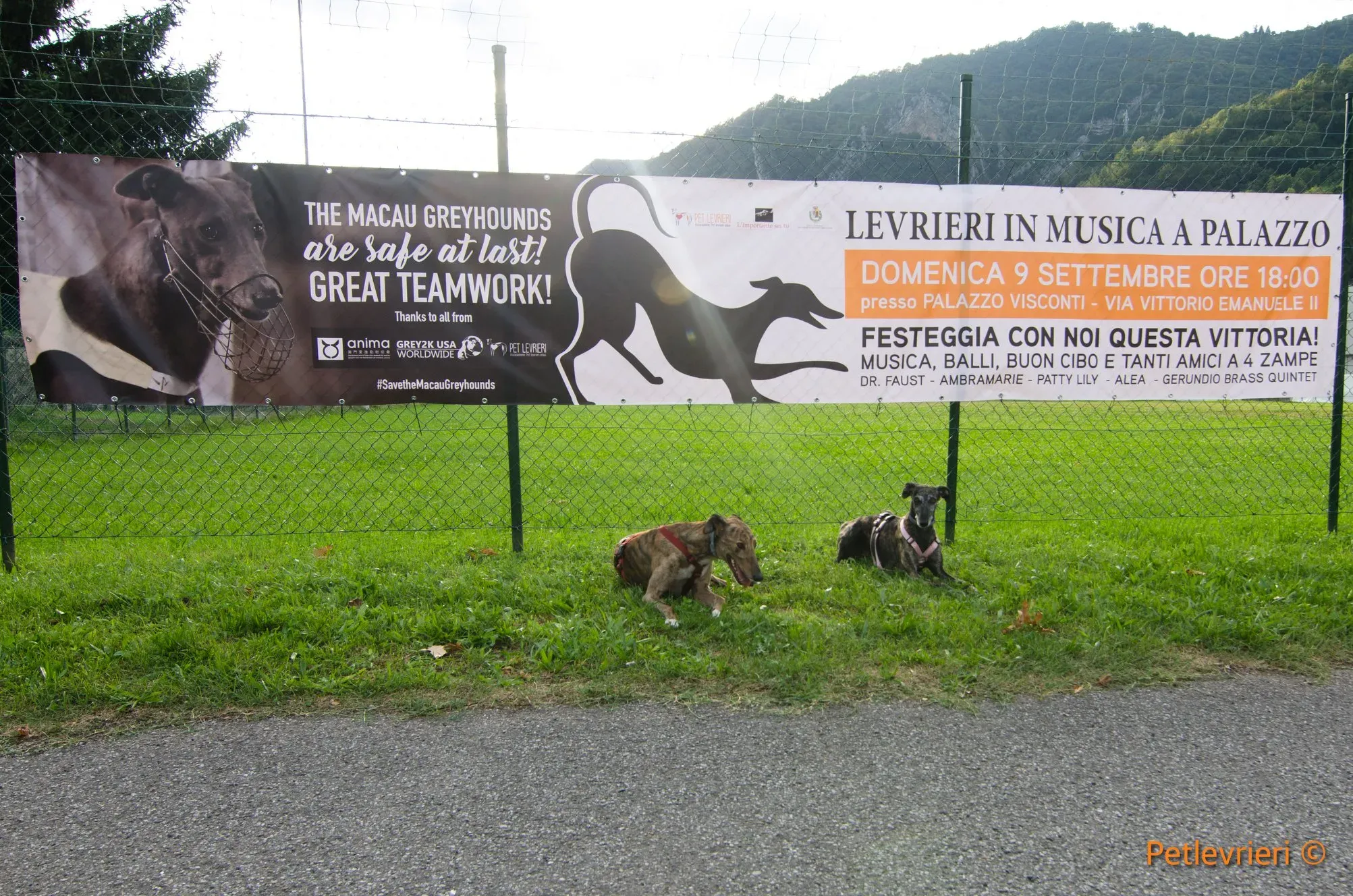 39298854 10213822529452383 8264301823863554048 o