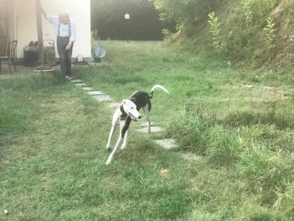 39409507 10214729610108385 3059100755907575808 n