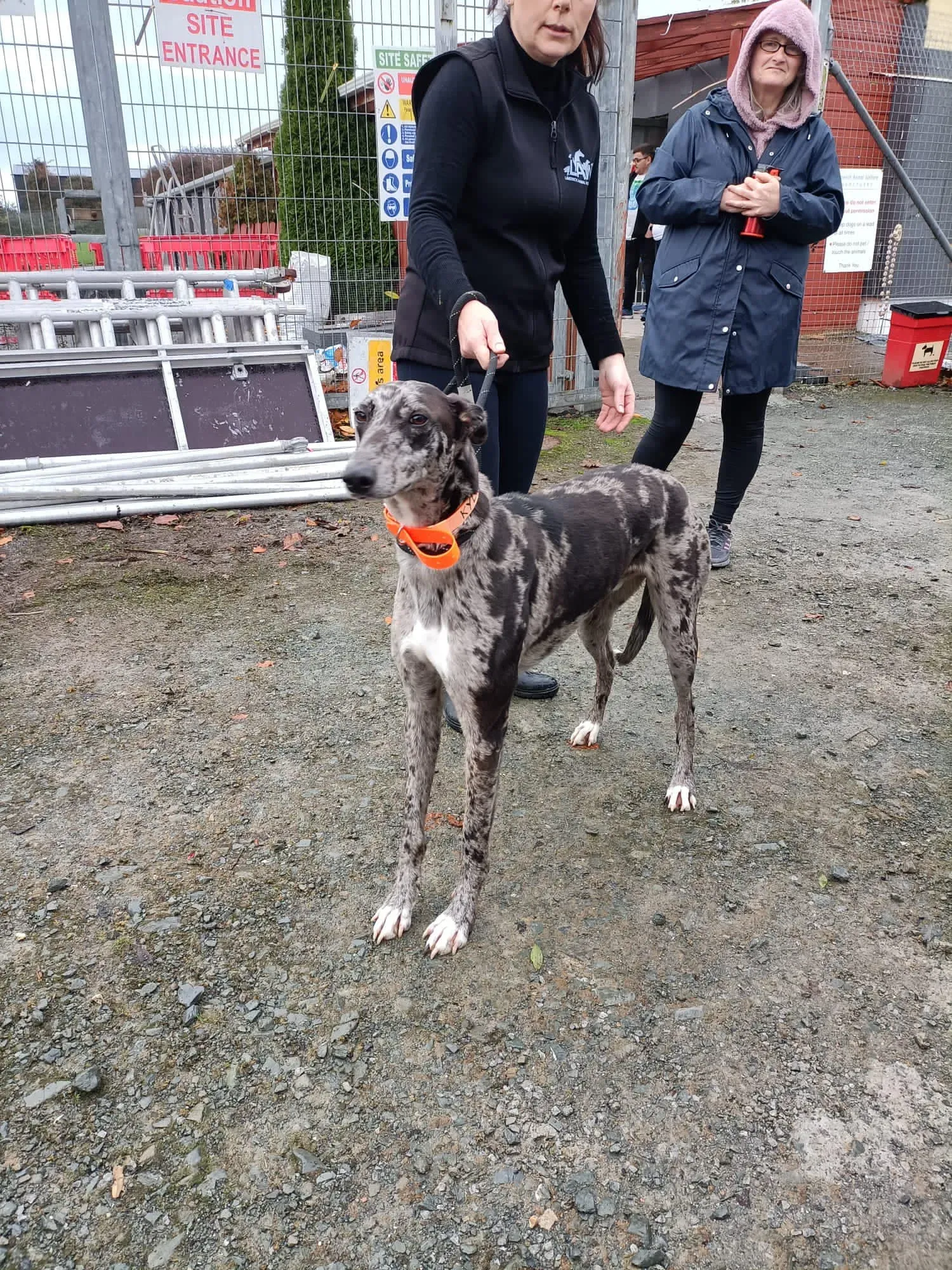 395290841 743430157815034 2385754472823473147 n