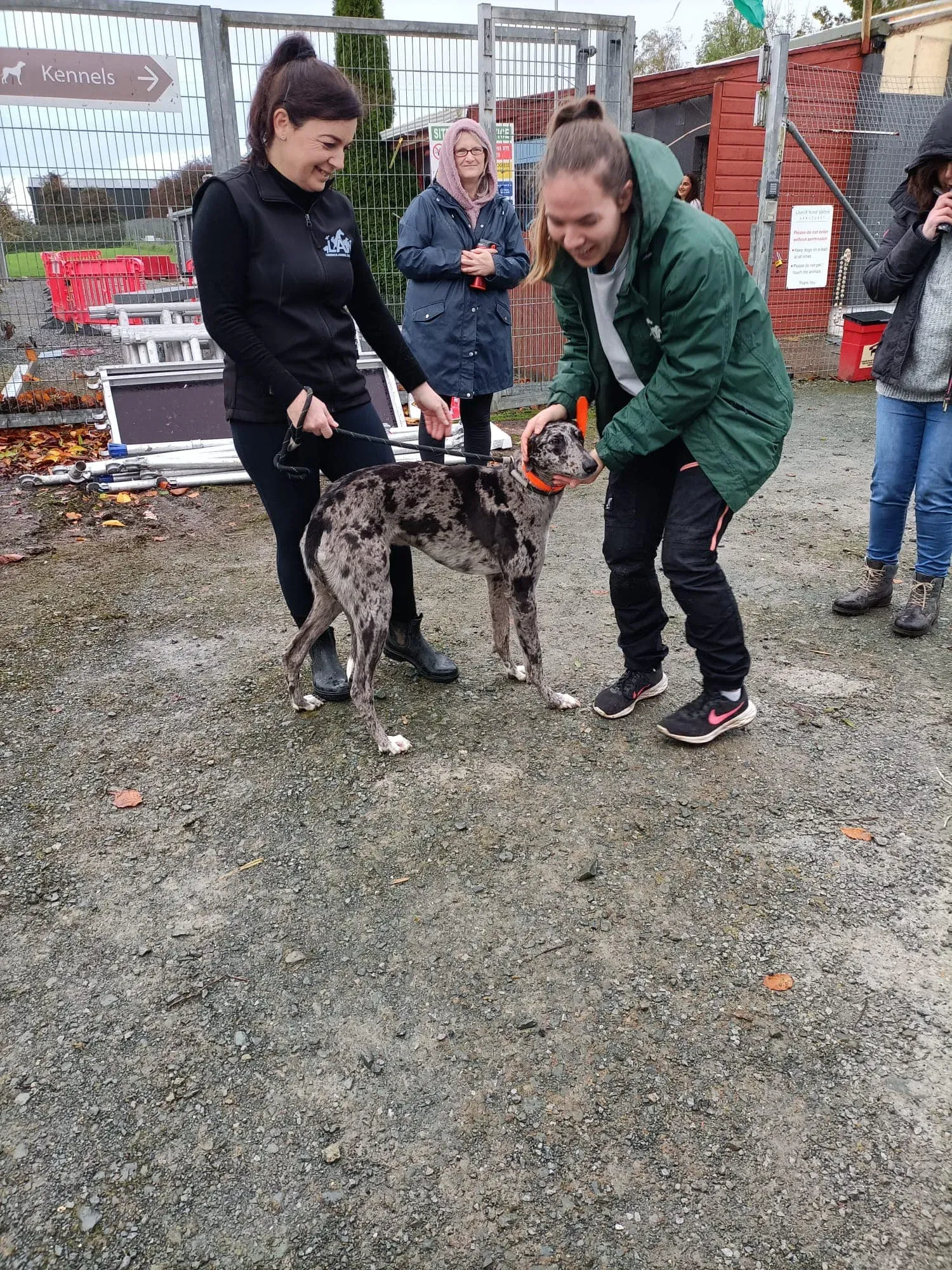 395291636 743430024481714 9034829995290160146 n