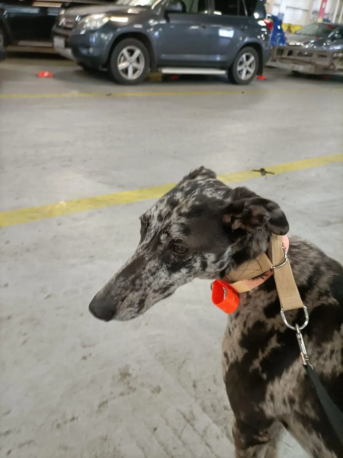 395383709 743765764448140 6650844101000880410 n