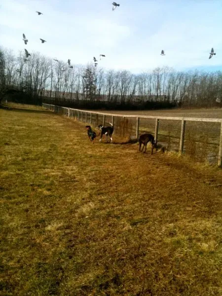 396009 219596124798665 1306907350 n