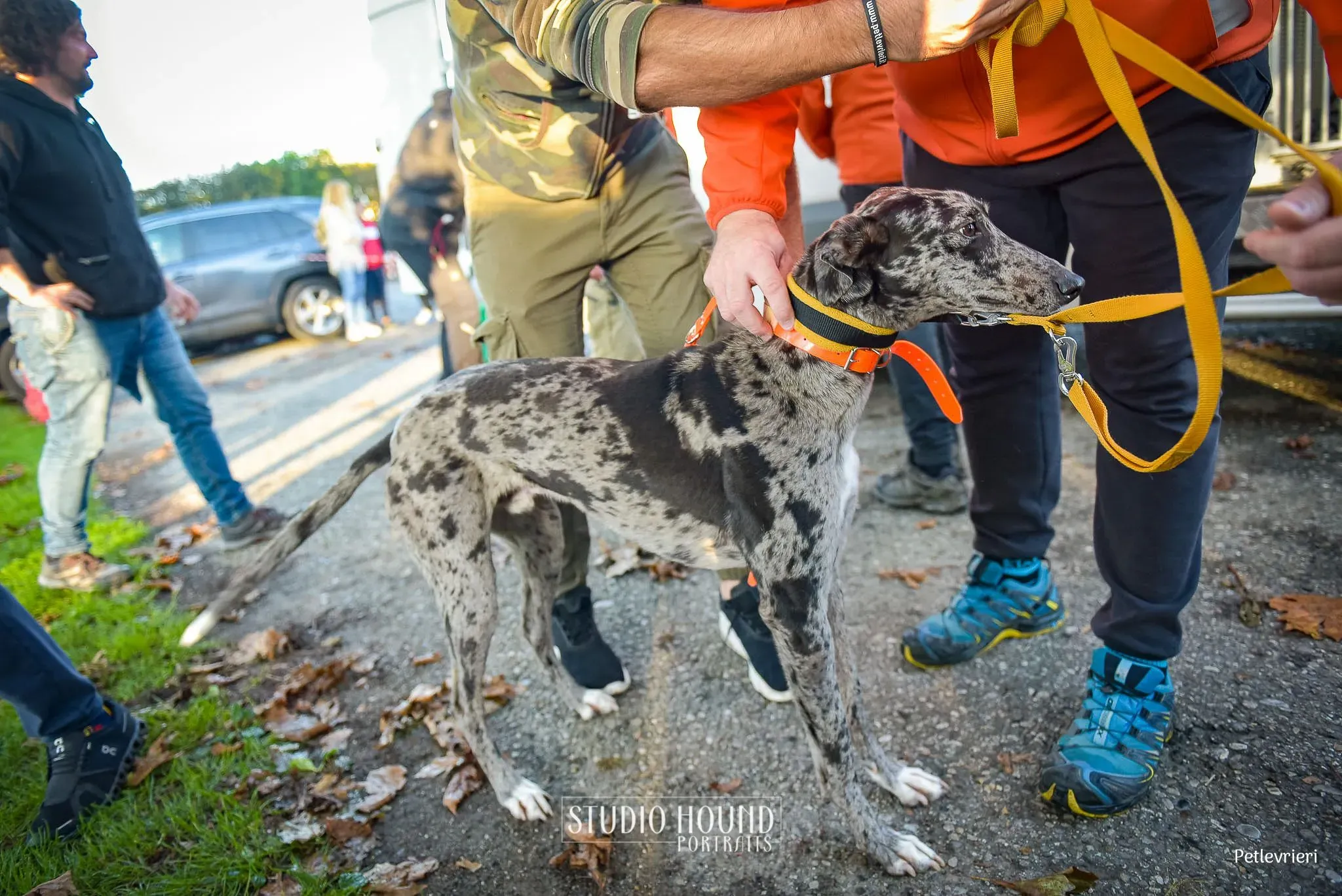 396701361 745130624311654 422014412328757754 n