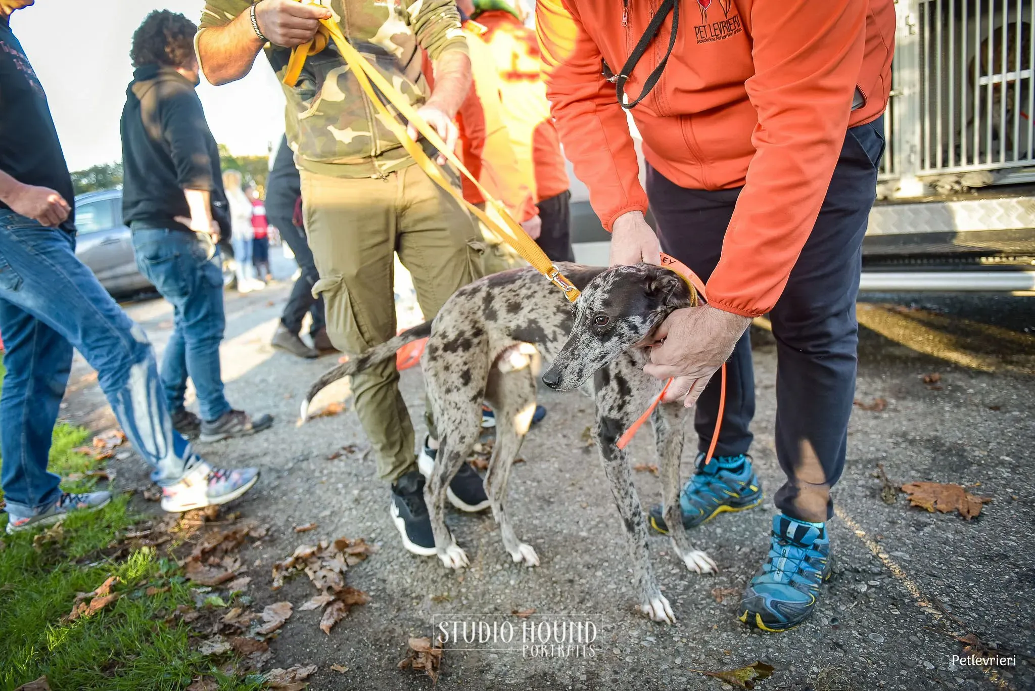 396716278 745130667644983 2448756893043071035 n