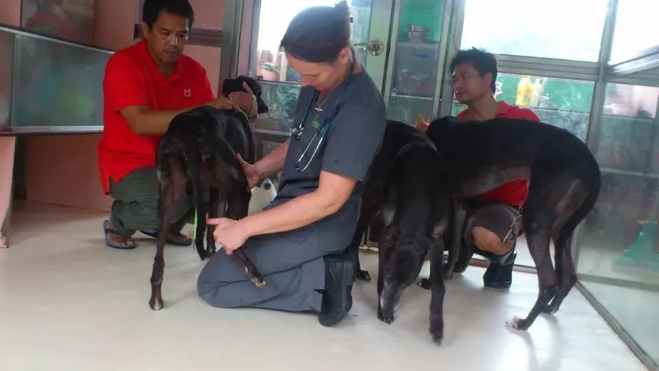 39747978 1687947954673227 245976960340066304 n