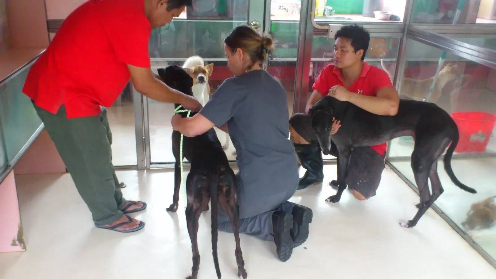 39835066 1687947938006562 4559917343089623040 o