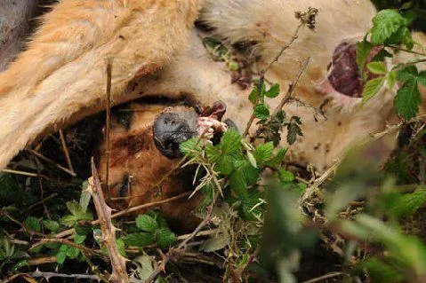 398878 386795271352952 1409828776 n