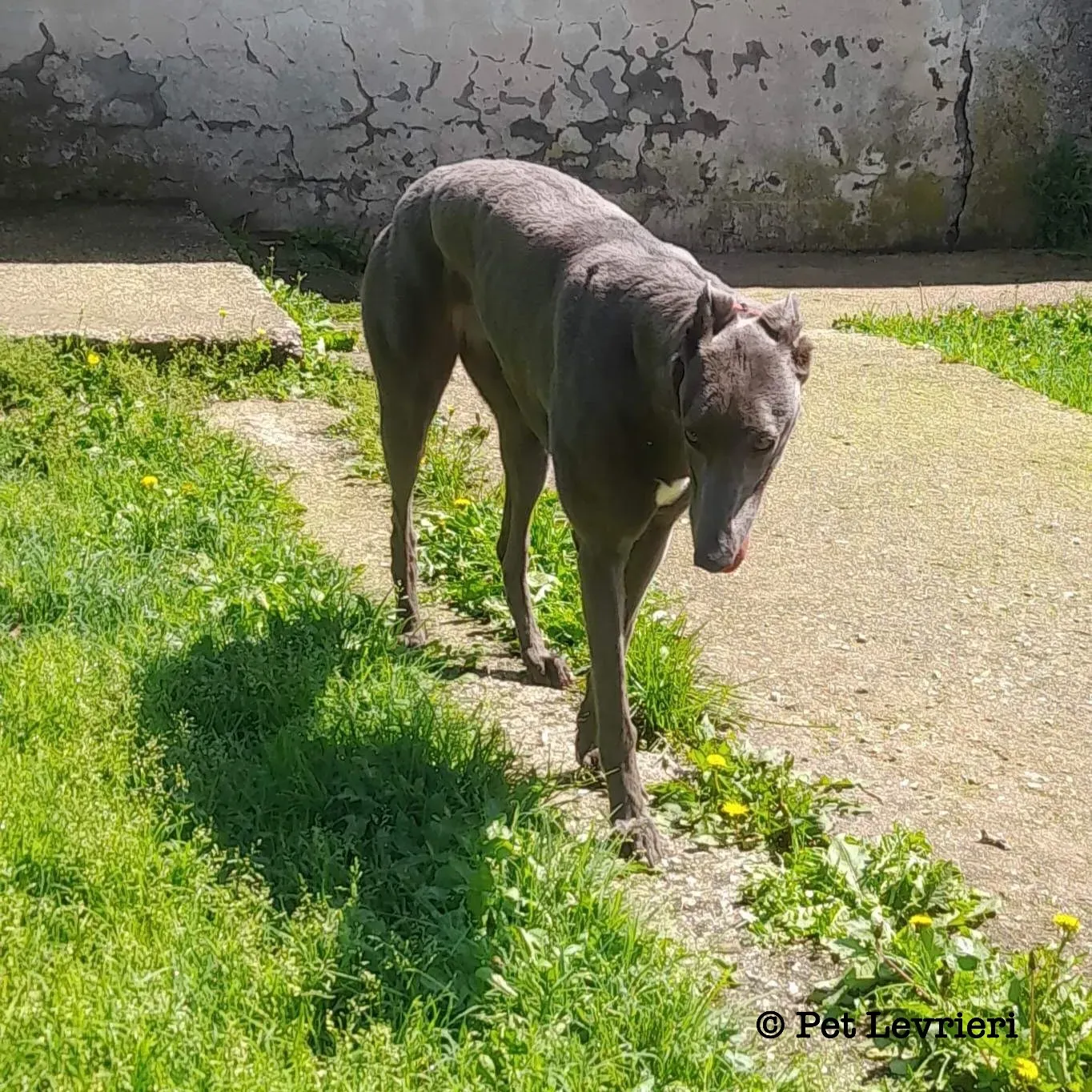 39AA8278 45A8 49FA 9541 7FA00E200554