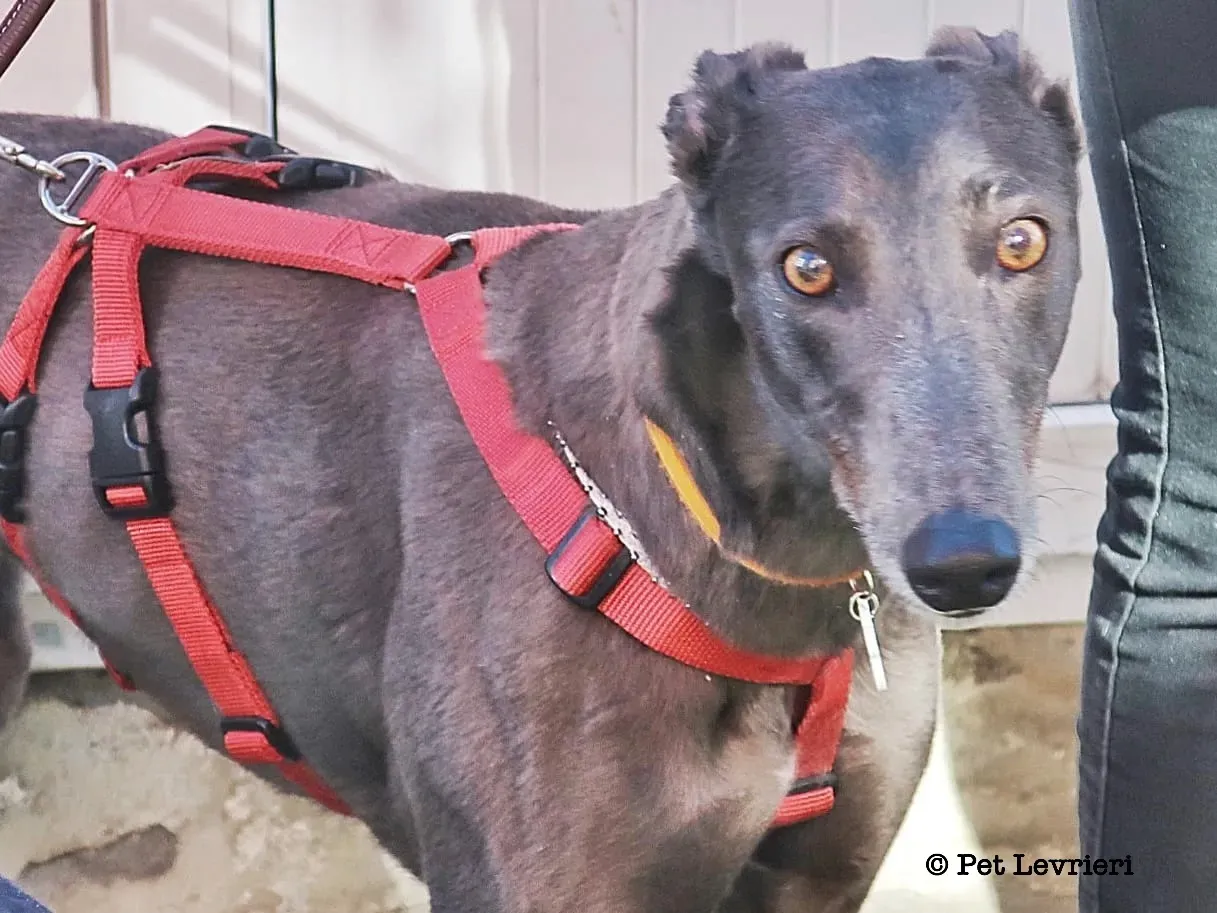 3FEAE920 2DEA 449C A90D 483B377098CF