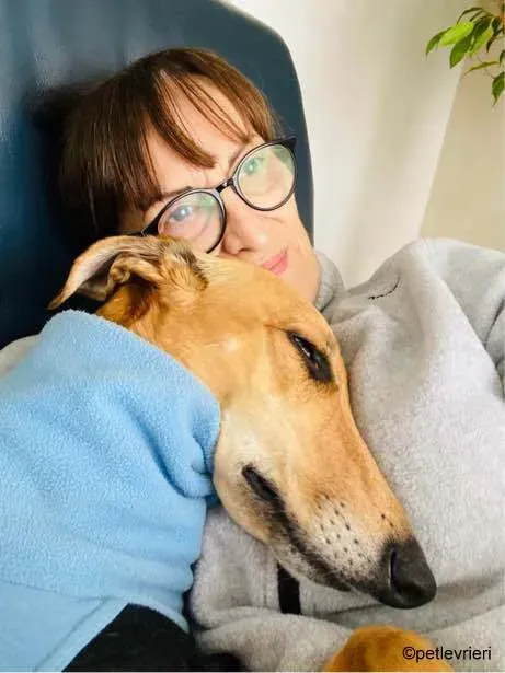 3Stevie lurcher pet levrieri felici casa2