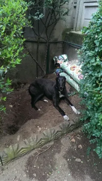 3dbdd6ccfe5e32fe20abdc95acff0bd7