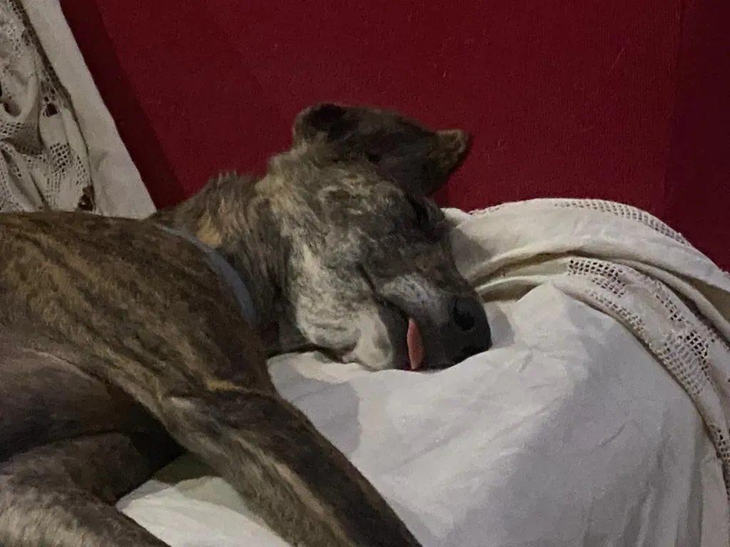 3eb12146 0e9e 4d94 a867 270fd8bf8319