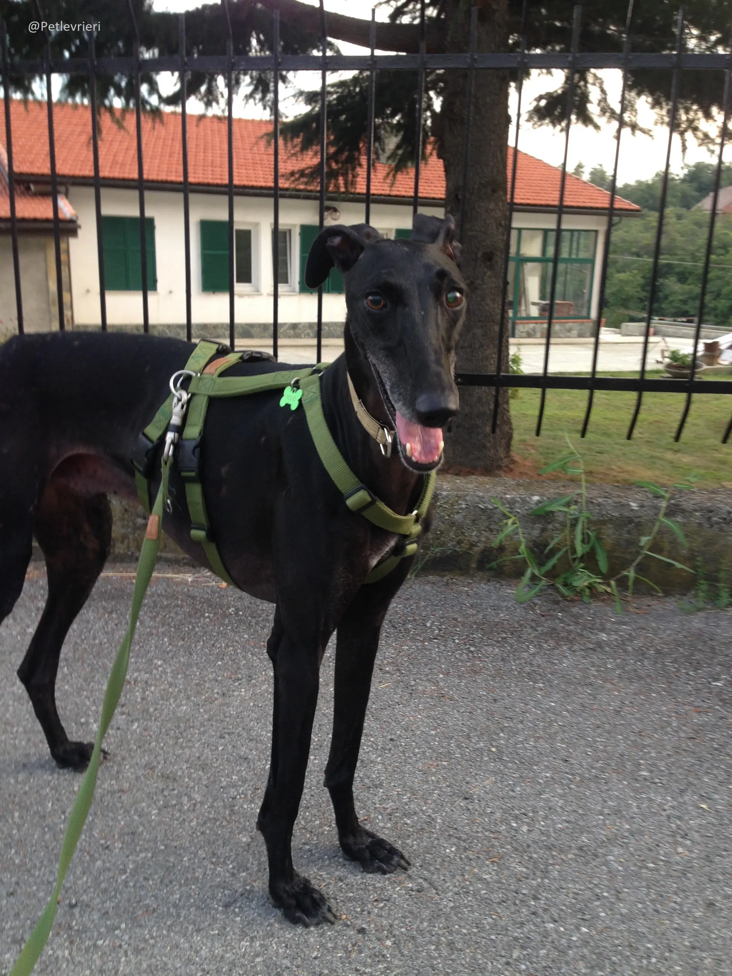 40066132 250776938907955 47182977410531328 n