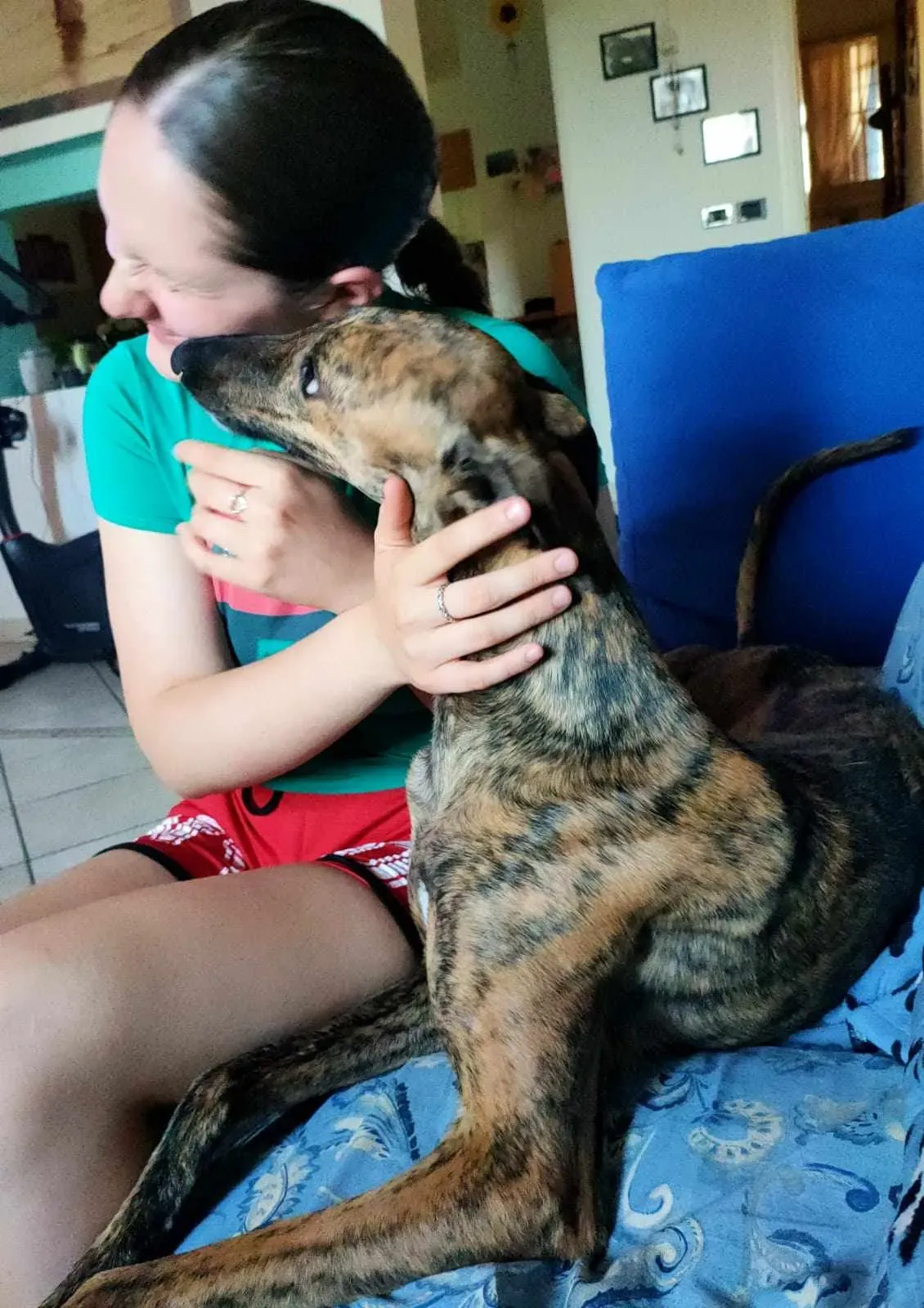 400971578 909783244047192 1682310597948835382 n