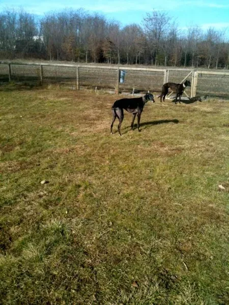 401007 219595058132105 1727869641 n