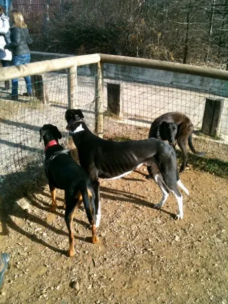 402039 219595631465381 1896878090 n