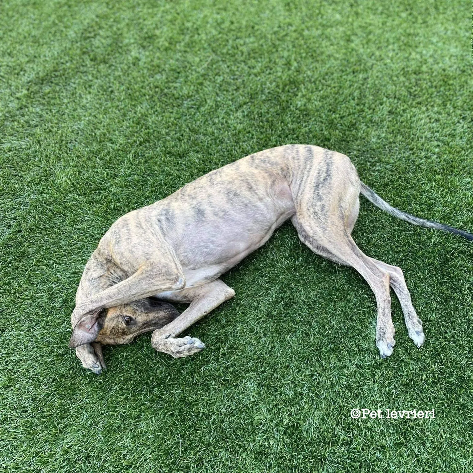 402C5C49 A5CF 4F35 BB85 75DB6C36C967