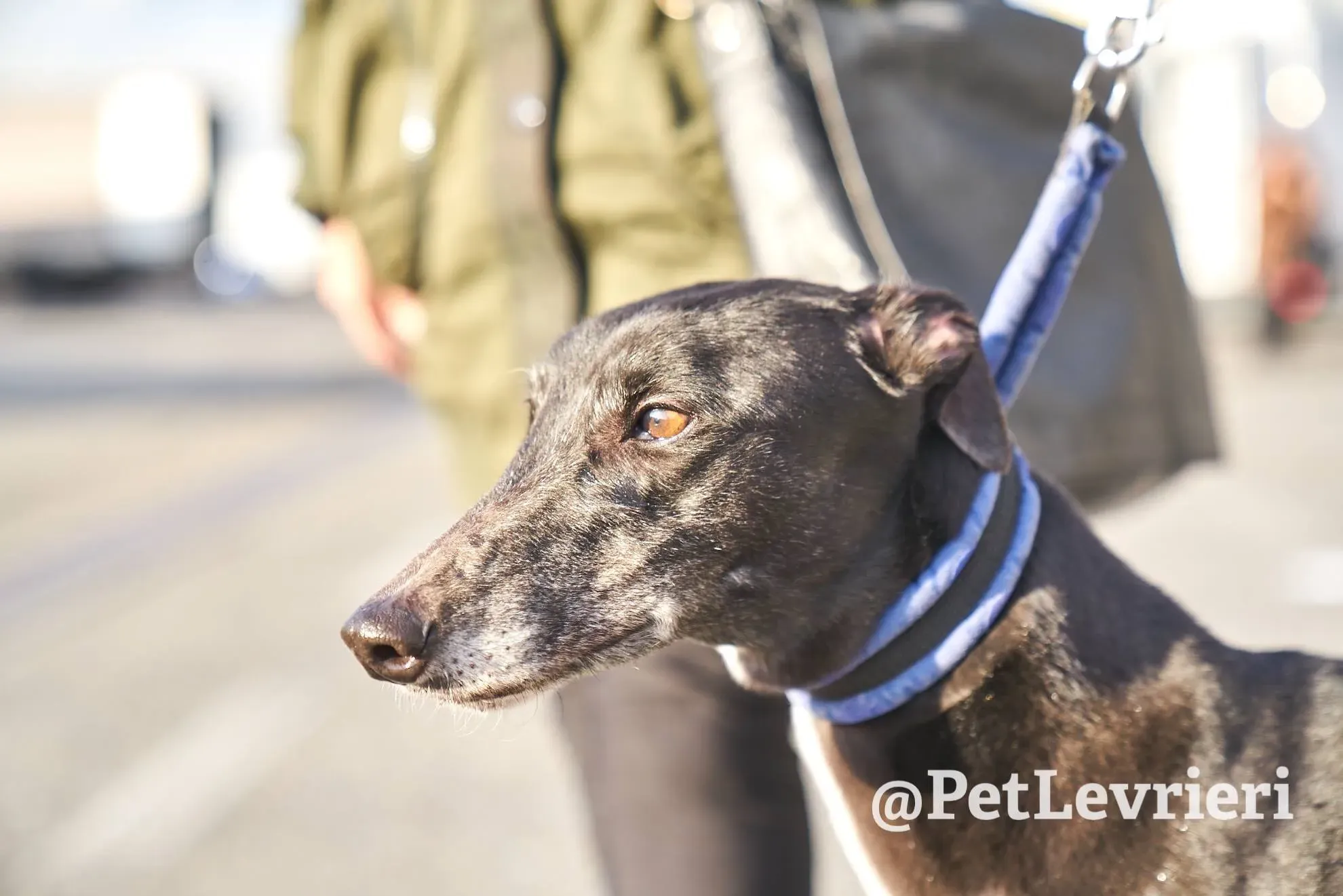 403B465D 4006 4611 A4A4 98598A130C24