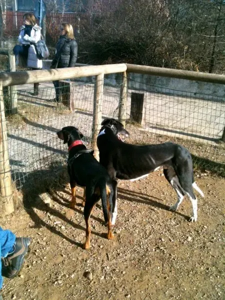 405397 219595734798704 660319234 n