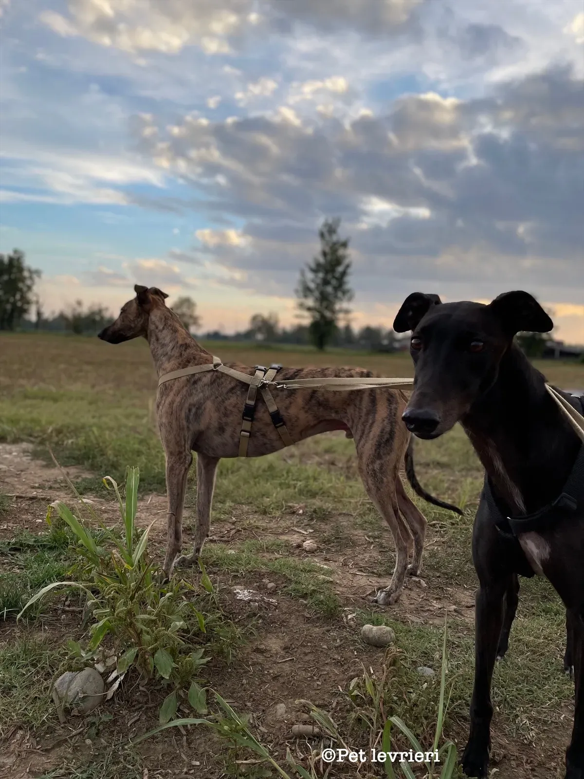 40676AD8 109A 478A A4A4 4C8CF7E599B0