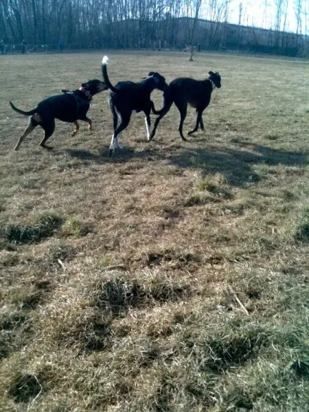 407397 219596021465342 1870947819 n