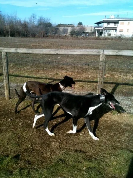 407630 219596214798656 976442213 n