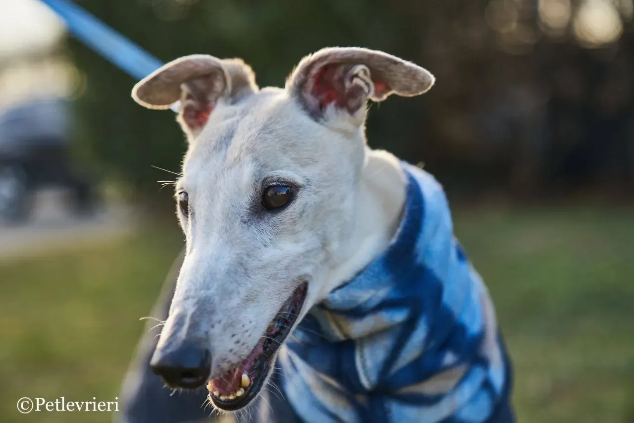 40C379D4 08B3 498A BD3F 04044076E953