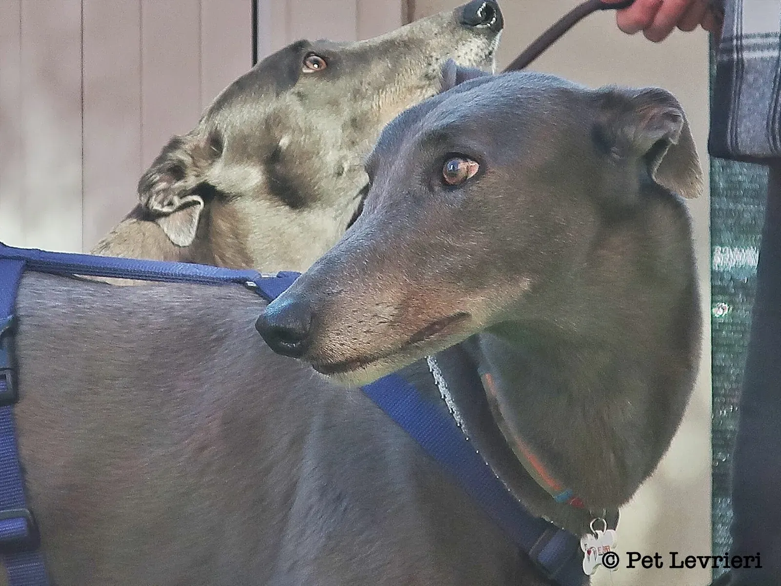 40D94A05 A86A 483E A62D C6D45BB05BC5