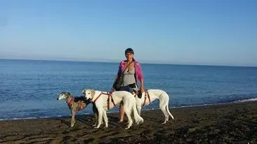 41073122 1956083137745391 5779587832091770880 n