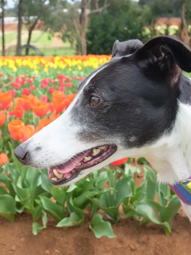 4137b9db22b5ffef0aef0d20fbbe8e42 69880