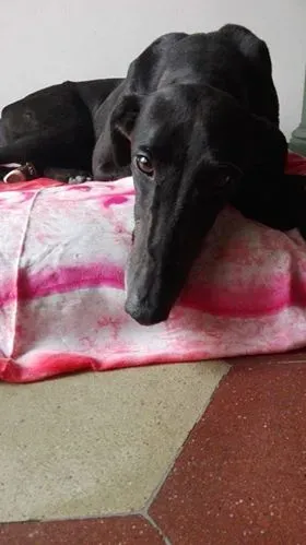 41450648 2199138163676213 9206669969897553920 n