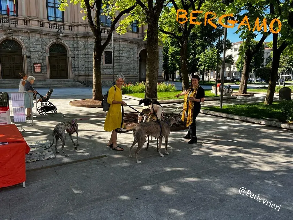 41556b3a 389a 43ee a51e a40ce63736f0 risultato